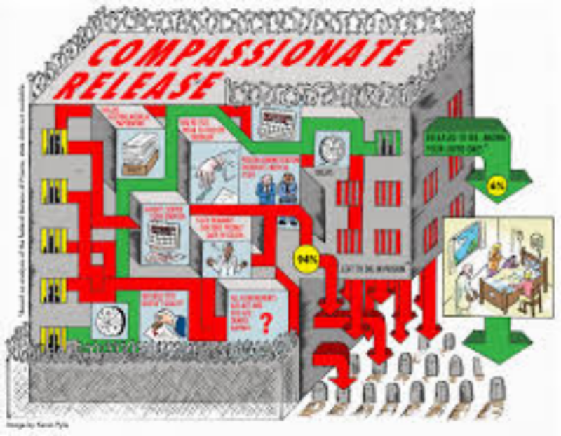 image showing majority of prisoners going to graveyard, and one leaving prison by compassionate release