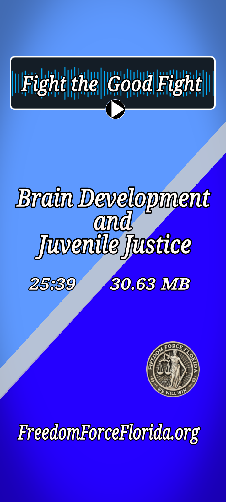 Brain Development and Juvenile Justice podcast (25:29 min, 30.63 MB)